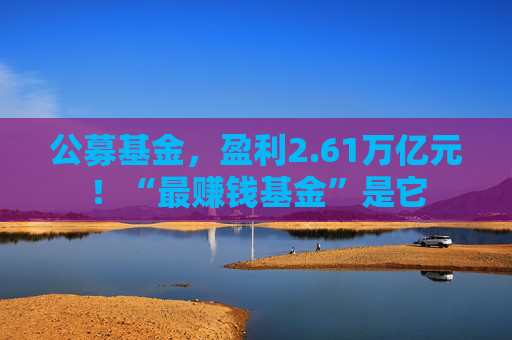 公募基金，盈利2.61万亿元！“最赚钱基金”是它