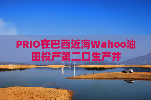 PRIO在巴西近海Wahoo油田投产第二口生产井