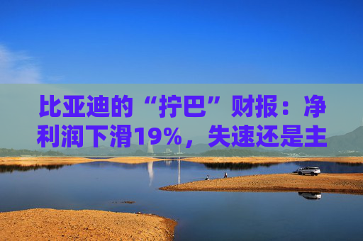 比亚迪的“拧巴”财报：净利润下滑19%，失速还是主动换挡？
