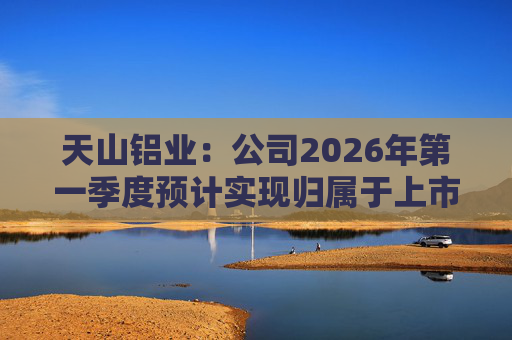 天山铝业：公司2026年第一季度预计实现归属于上市公司股东的净利润220000万元