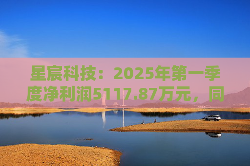 星宸科技:2025年第一季度净利润5117.87万元,同比增长0.48%