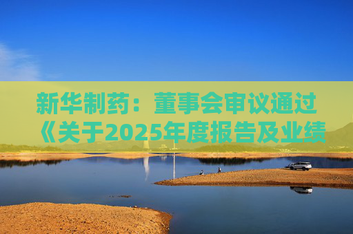 新华制药：董事会审议通过《关于2025年度报告及业绩公告的议案》等多项议案