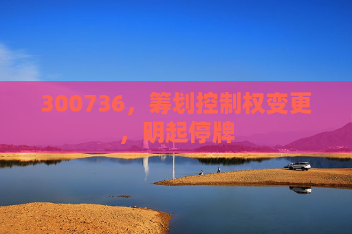 300736，筹划控制权变更，明起停牌  第1张