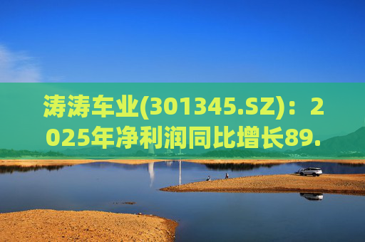 涛涛车业(301345.SZ)：2025年净利润同比增长89.29% 拟10派15元  第1张