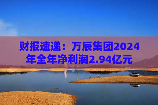 财报速递:万辰集团2024年全年净利润2.94亿元 第1张 财报速递:万辰集团2024年全年净利润2.94亿元 第1张