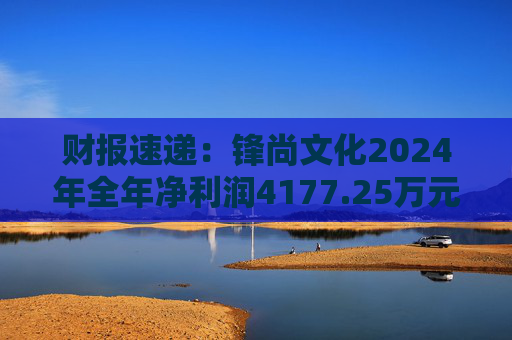 财报速递:锋尚文化2024年全年净利润4177.25万元 第1张 财报速递:锋尚文化2024年全年净利润4177.25万元 第1张