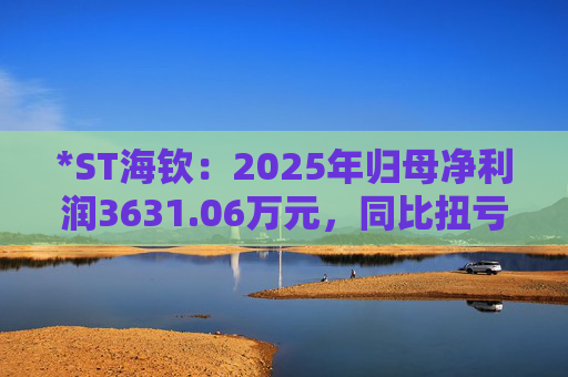 *ST海钦：2025年归母净利润3631.06万元，同比扭亏为盈