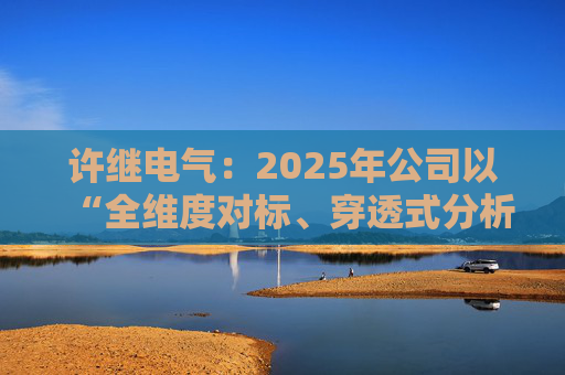 许继电气：2025年公司以“全维度对标、穿透式分析、动态化管控”为核心  第1张