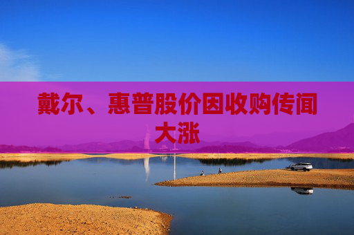 戴尔、惠普股价因收购传闻大涨