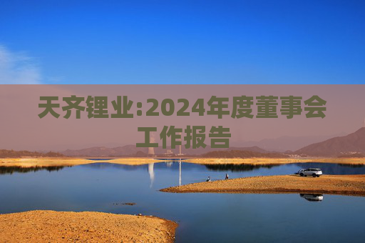 天齐锂业:2024年度董事会工作报告