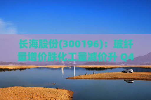 长海股份(300196)：玻纤量增价跌化工量减价升 Q4业绩同比显著修复