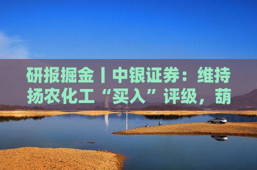 研报掘金丨中银证券：维持扬农化工“买入”评级，葫芦岛基地项目建设稳步推进