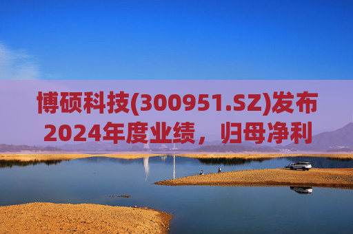 博硕科技(300951.SZ)发布2024年度业绩，归母净利润2.11亿元，同比下降17.35%