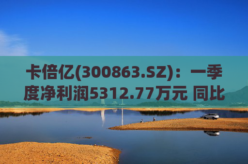 卡倍亿(300863.SZ)：一季度净利润5312.77万元 同比增加20.30%  第1张