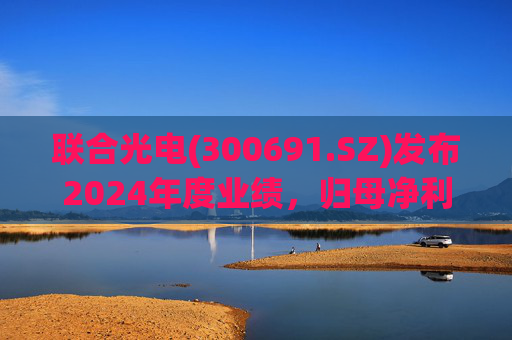 联合光电(300691.SZ)发布2024年度业绩,归母净利润3856.29万元,同比下降40.02%