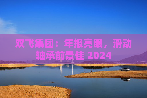 双飞集团：年报亮眼，滑动轴承前景佳 2024