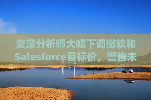 资深分析师大幅下调微软和Salesforce目标价，警告未来一年将"艰难"