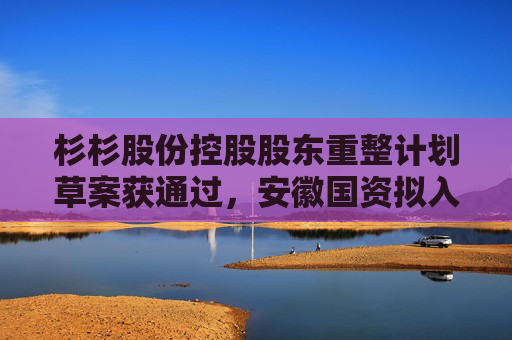 杉杉股份控股股东重整计划草案获通过，安徽国资拟入主