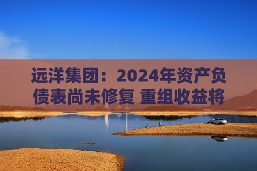 远洋集团:2024年资产负债表尚未修复 重组收益将于2025年释放