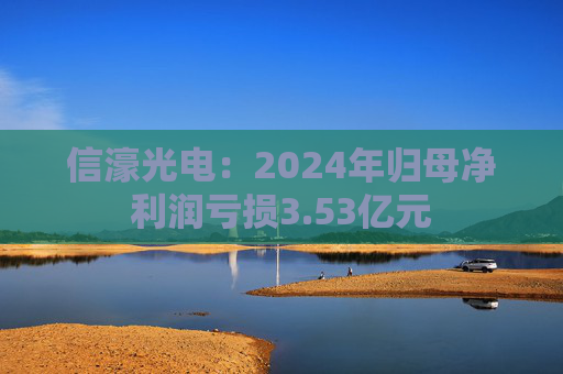 信濠光电：2024年归母净利润亏损3.53亿元
