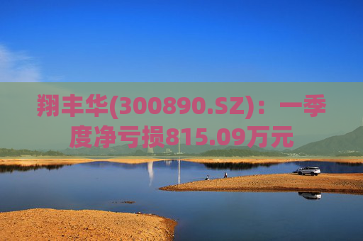 翔丰华(300890.SZ)：一季度净亏损815.09万元  第1张