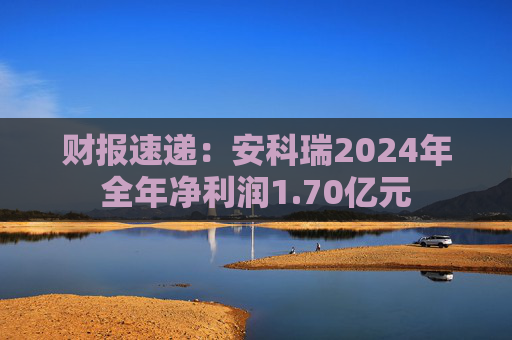 财报速递:安科瑞2024年全年净利润1.70亿元