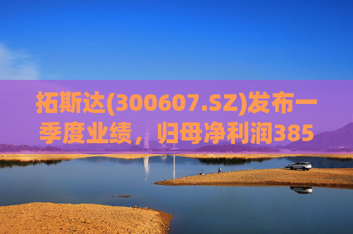 拓斯达(300607.SZ)发布一季度业绩，归母净利润385.48万元，下降87.14%  第1张