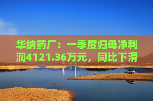 华纳药厂：一季度归母净利润4121.36万元，同比下滑31.37%
