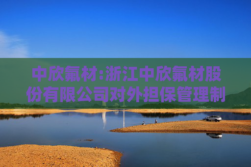 中欣氟材:浙江中欣氟材股份有限公司对外担保管理制度