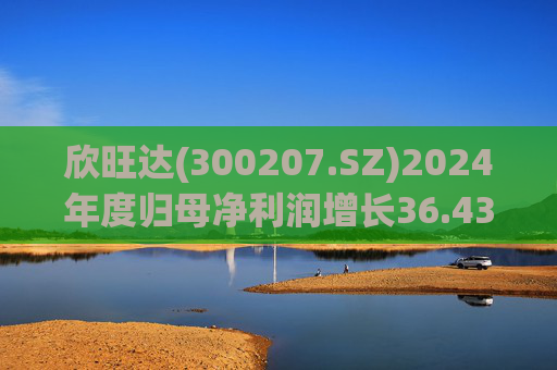 欣旺达(300207.SZ)2024年度归母净利润增长36.43%至14.68亿元，动力电池出货量合计25.29GWh