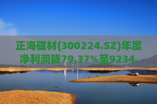 正海磁材(300224.SZ)年度净利润降79.37%至9234.02万元  高性能钕铁硼永磁材料销量实现连续七年增长