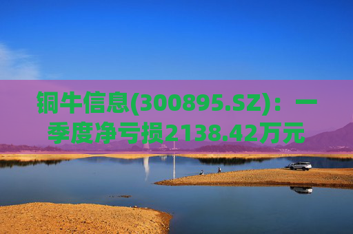 铜牛信息(300895.SZ)：一季度净亏损2138.42万元