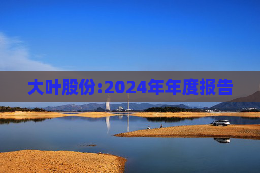 大叶股份:2024年年度报告  第1张