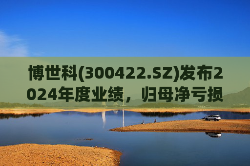 博世科(300422.SZ)发布2024年度业绩，归母净亏损8.65亿元，扩大300.66%