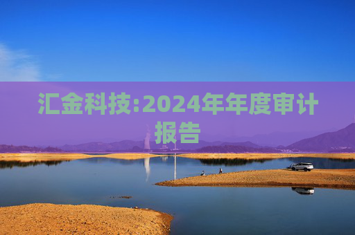 汇金科技:2024年年度审计报告