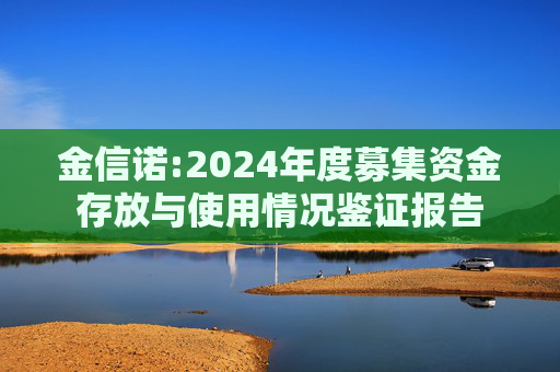 金信诺:2024年度募集资金存放与使用情况鉴证报告