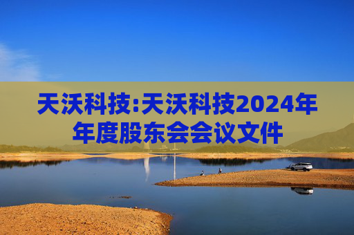 天沃科技:天沃科技2024年年度股东会会议文件