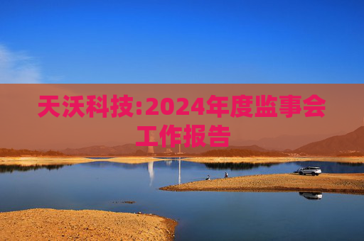 天沃科技:2024年度监事会工作报告