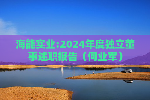 海能实业:2024年度独立董事述职报告（何业军）