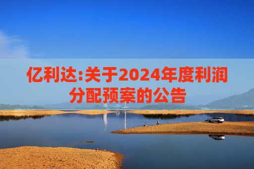 亿利达:关于2024年度利润分配预案的公告