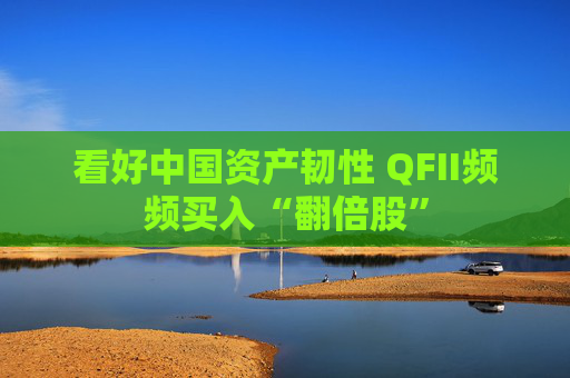 看好中国资产韧性 QFII频频买入“翻倍股”
