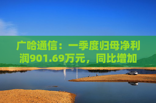 广哈通信：一季度归母净利润901.69万元，同比增加1033.85%  第1张