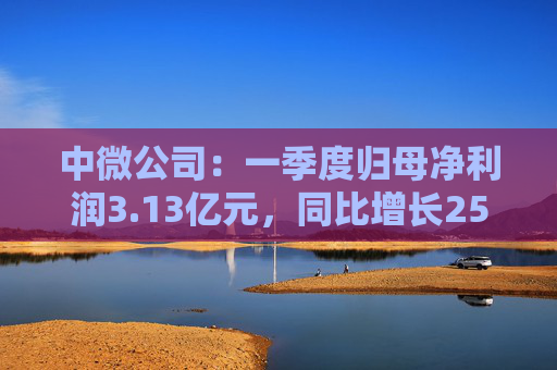 中微公司：一季度归母净利润3.13亿元，同比增长25.67%