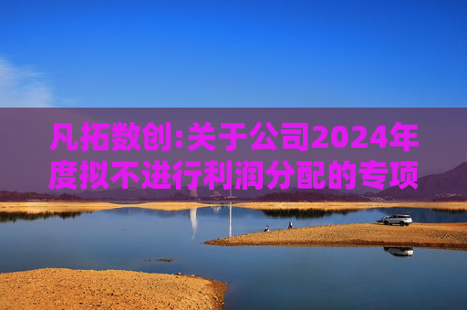 凡拓数创:关于公司2024年度拟不进行利润分配的专项说明