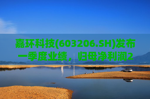 嘉环科技(603206.SH)发布一季度业绩，归母净利润2021.72万元，同比下降21.02%