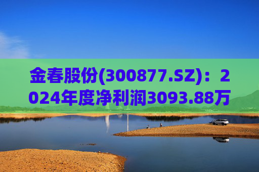 金春股份(300877.SZ):2024年度净利润3093.88万元 拟10派1元