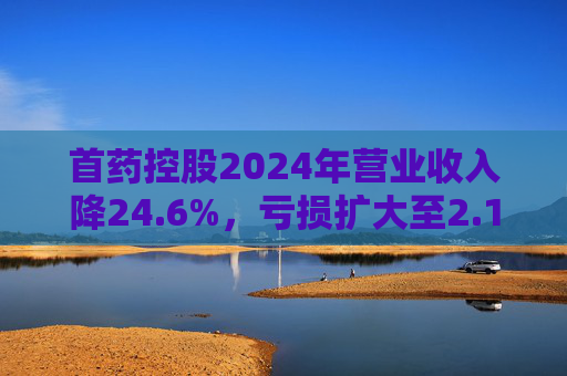 首药控股2024年营业收入降24.6%，亏损扩大至2.12亿元  第1张