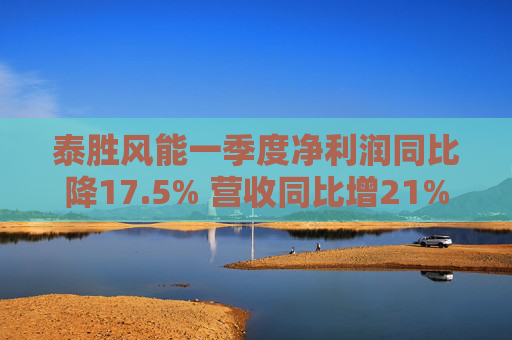 泰胜风能一季度净利润同比降17.5% 营收同比增21%