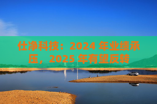 仕净科技：2024 年业绩承压，2025 年有望反转