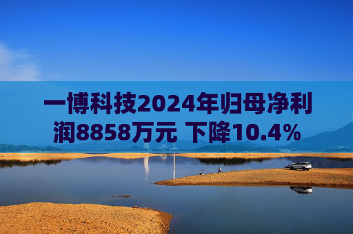 一博科技2024年归母净利润8858万元 下降10.4% 第1张 一博科技2024年归母净利润8858万元 下降10.4% 第1张